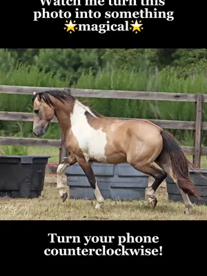 @Beth - Epona Media