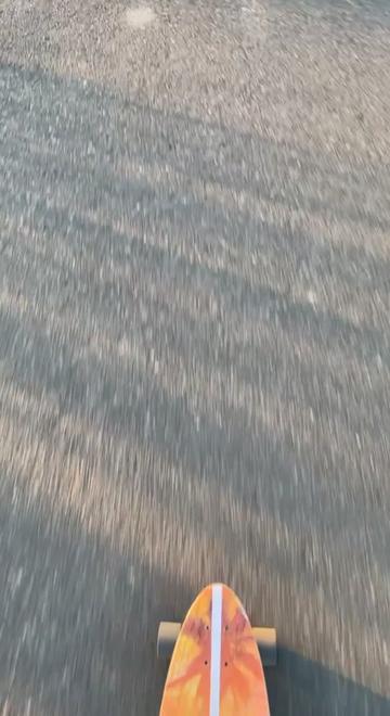 @user8156835256530