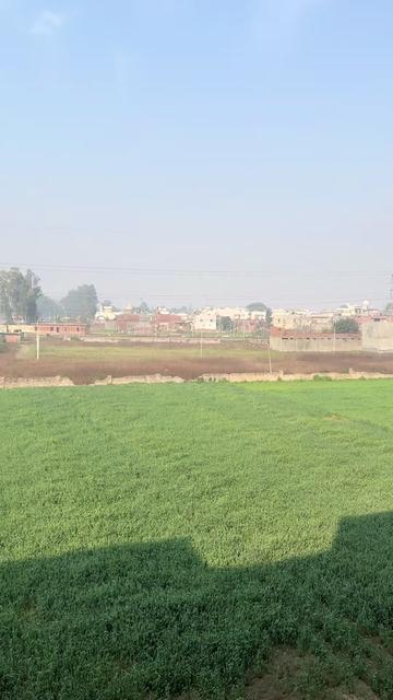 @Divya.bedi
