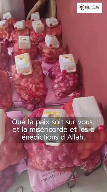 @lesptitsvillagesdafrique