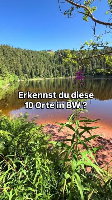 @Schwarzwald Pur