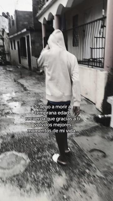 @Moquito 🦟👣