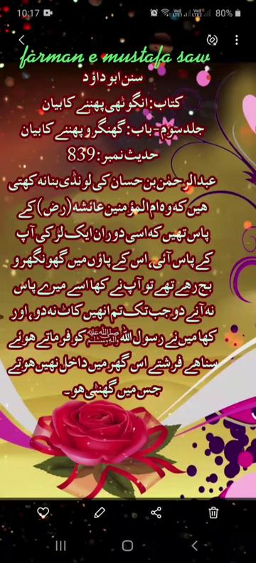 @Max Info