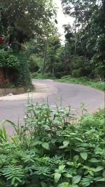 @Anandu