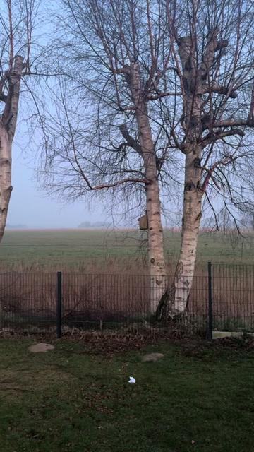 @In‘t Noord