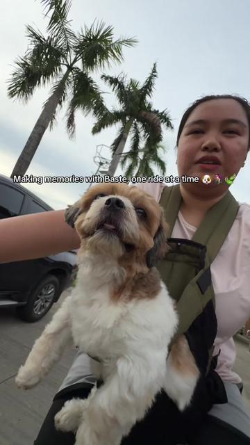 @Baste