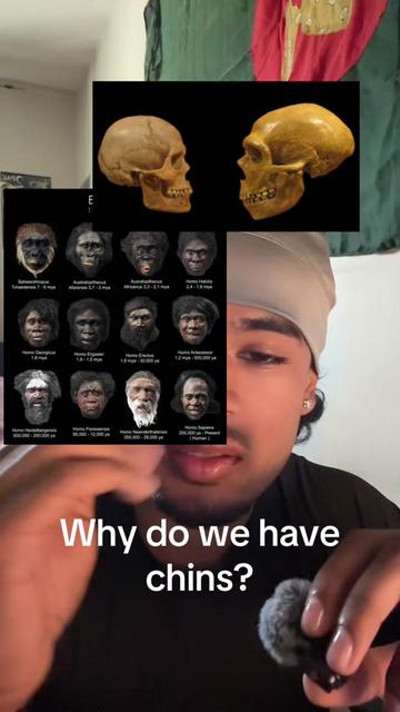 @Anthroad