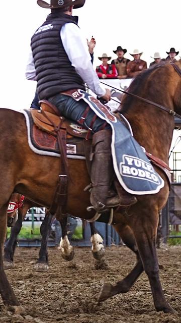 @Hanginghorses