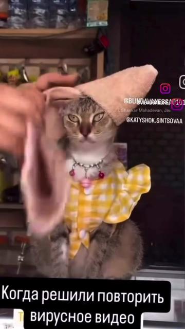 @cosanostrapurr