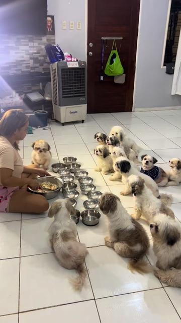 @FURMOMKHAI&BATUTA ONLY ACCT‼️
