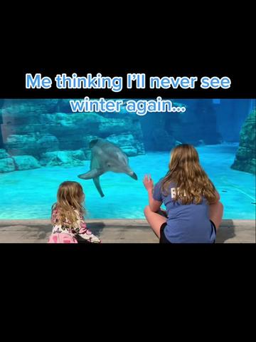 @dolphin_heart66