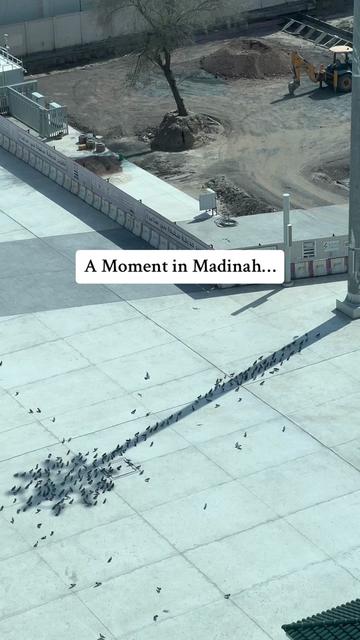 @Muslim Sphere