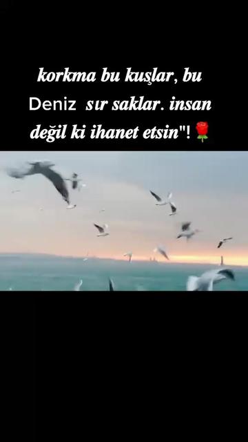 @anlamlı sözler