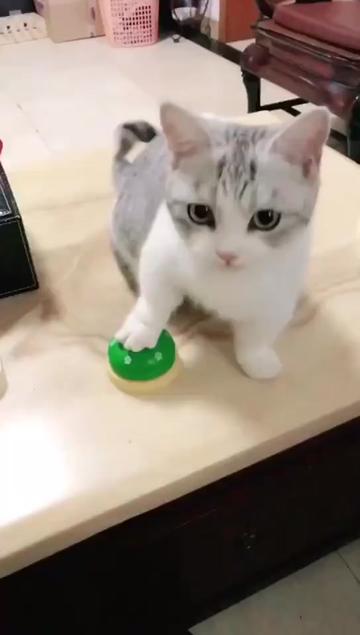 @flyingcatzhl