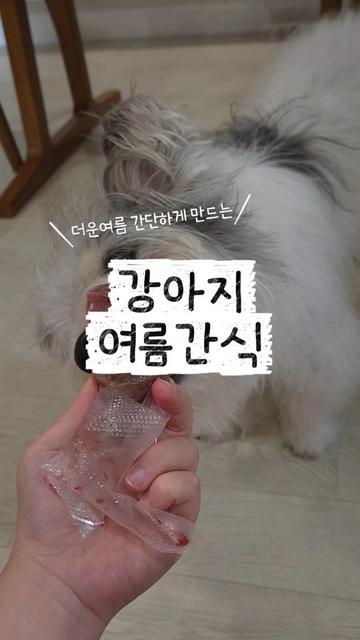 @춘가드