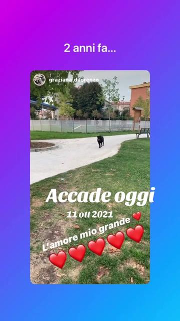 @mayafamily72