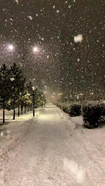 @Валерия Кулагина