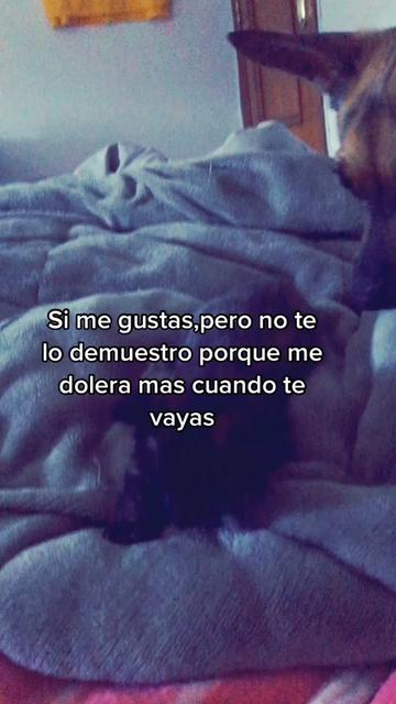 @nsqueweaponer._