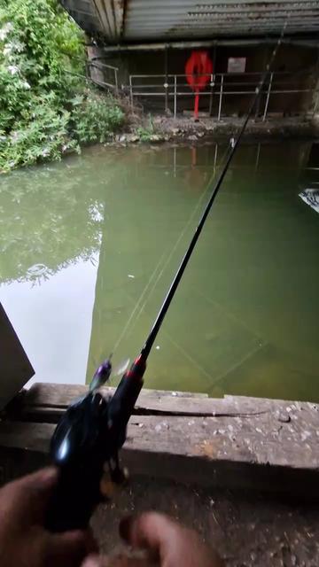 @BF Angler
