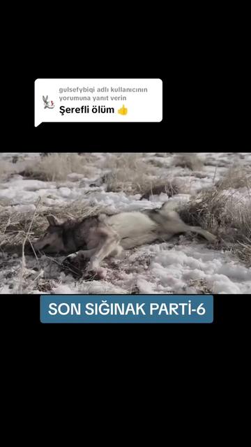 @Belgesel Dünyası 🌏