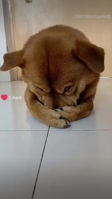 @HappyMonday668