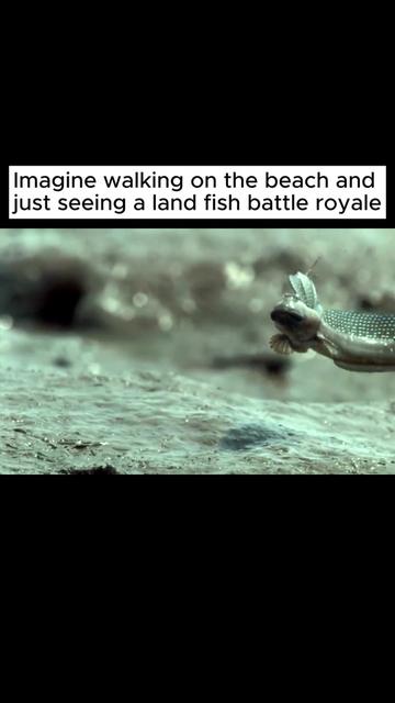 @Planet Earth