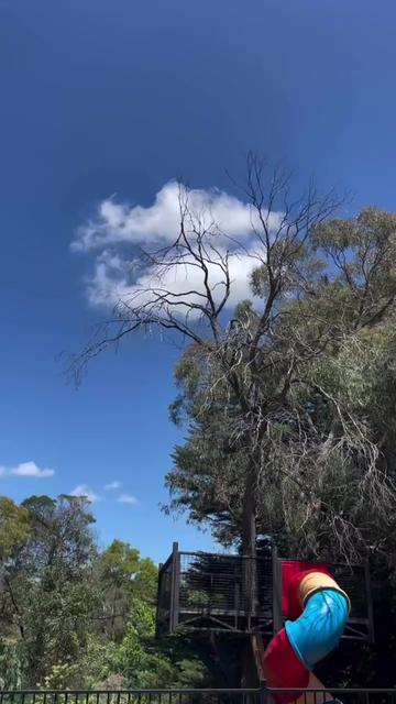 @rovingrefillsfrankston