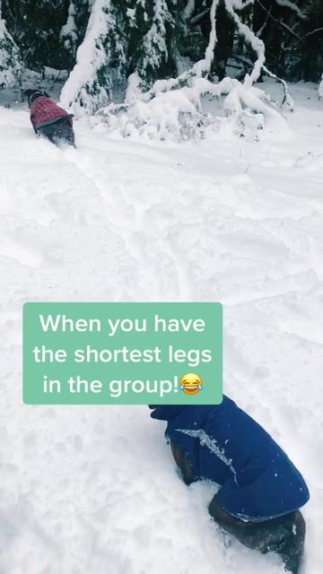 @wildlywinston