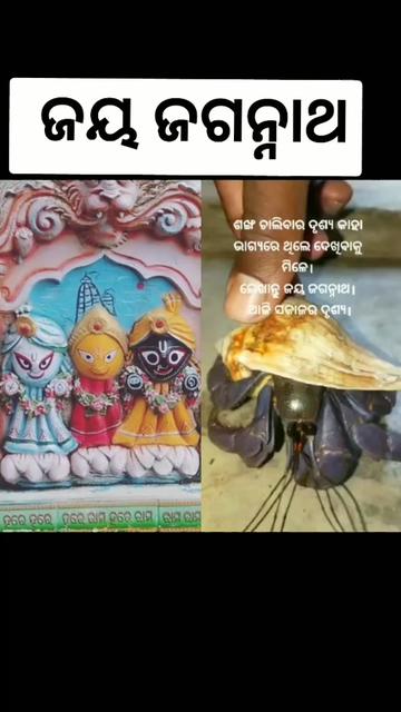 @Rasmiprava sahu