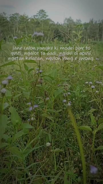 @RIZKY