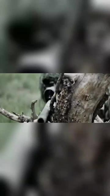 @militaryinfo_