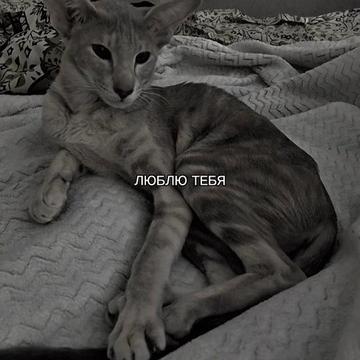 @ХХИКА