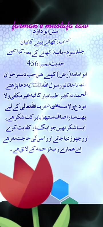 @Max Info