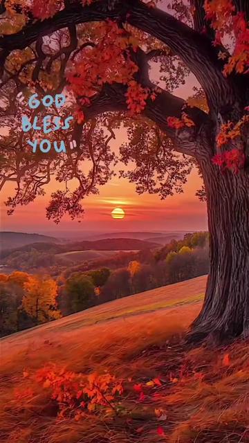 @Vicky blessings 2026