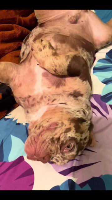 @Ares Santacruz