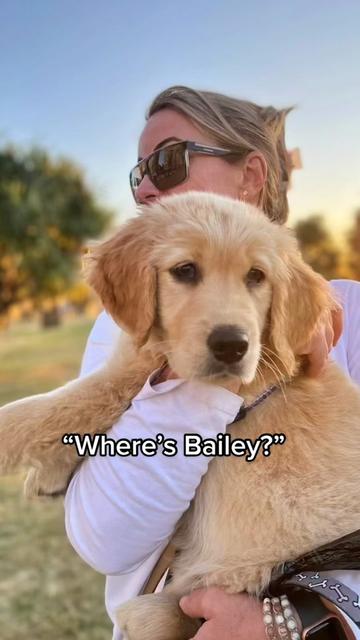 @Scout and Bailey 🐕🐶