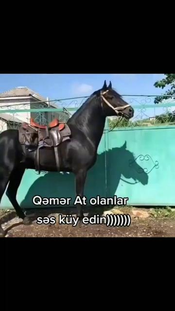 @Qəmli Yazar