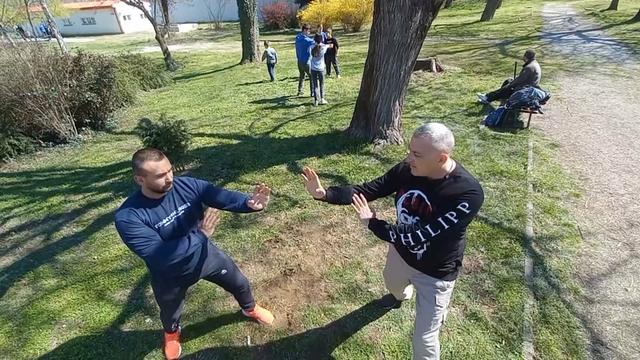@LakiStrikerwingchun