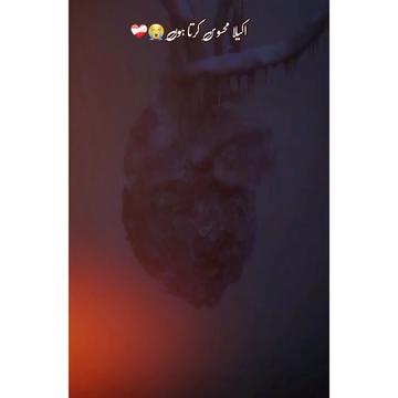 @𝙌𝙖𝙞𝙨_🖤