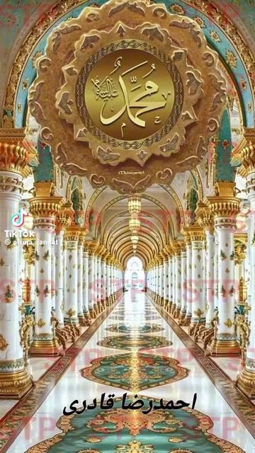 @নিঝুম তারা