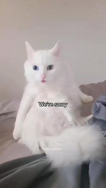 @Potato