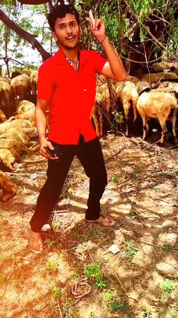 @P K Aal. 105