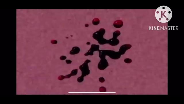 @klaskycsupo287