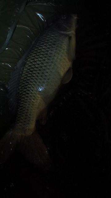 @Jocarpfishing