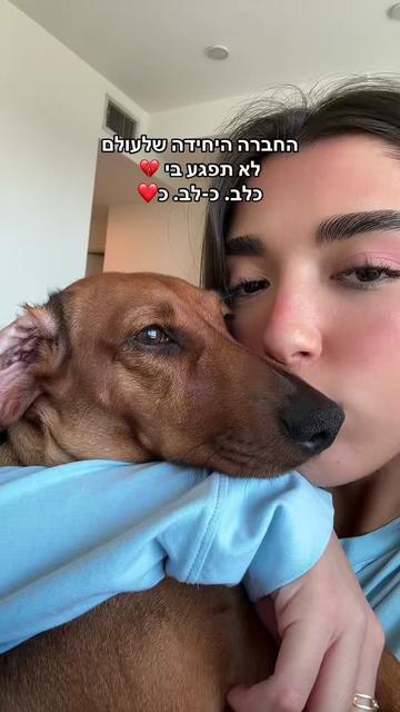 @amitmizrachixspam