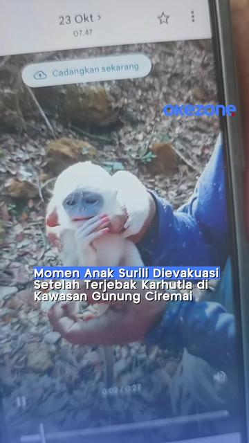 @Okezone