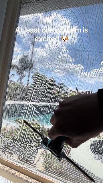 @luxprocleaning