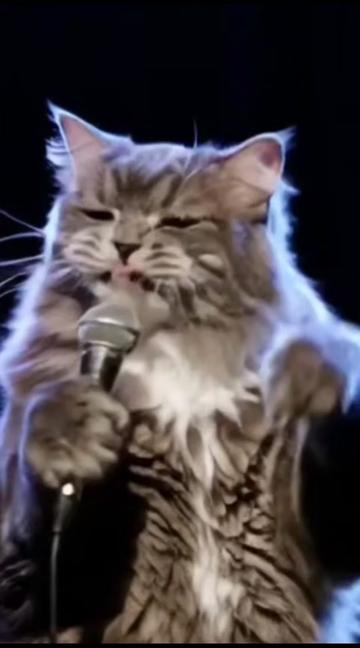 @comedyclubcats