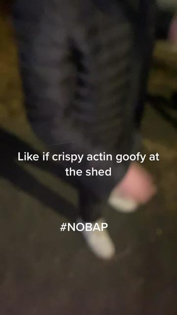 @Nobapexpert
