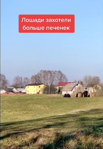 @Минск|ТатьянаХацкевич|Беларусь